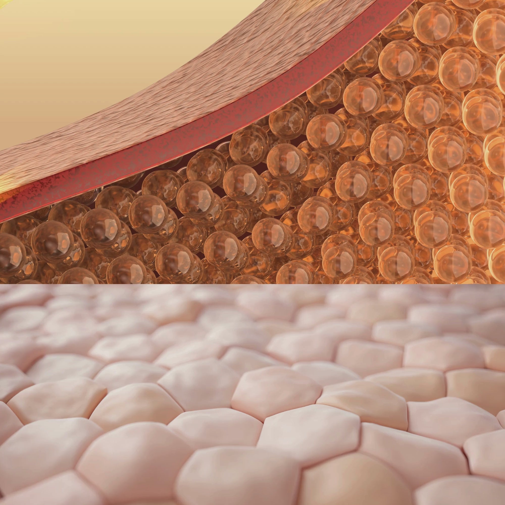 Routine Coréenne 5-en-1 Anti-Âge au Triple Collagène